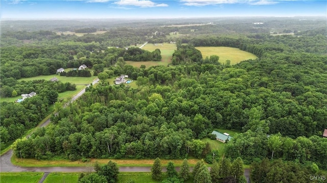 123 Town Line Rd, Volney, NY 13069 - aerial view of a heavily wooded area