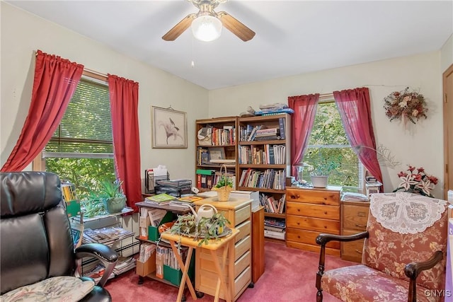 123 Town Line Rd, Volney, NY 13069 - carpeted office featuring plenty of natural light and a ceiling fan