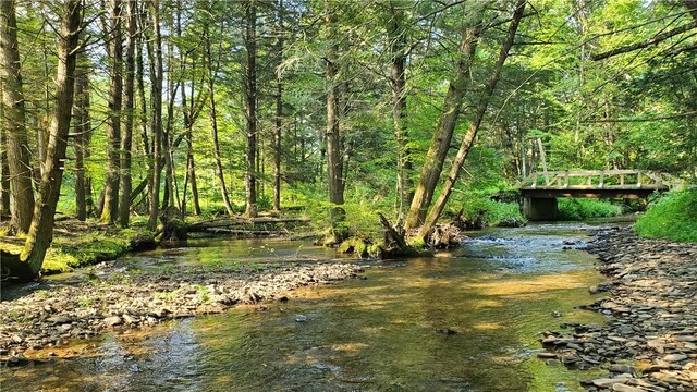 3128 Dryden Rd, Tompkins, NY 13856 - photo 18