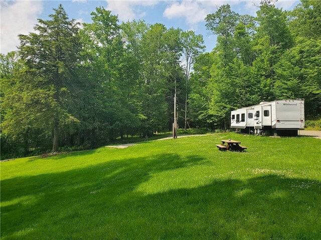 3128 Dryden Rd, Tompkins, NY 13856 - photo 28