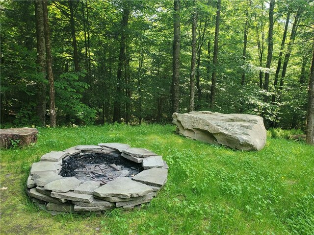 3128 Dryden Rd, Tompkins, NY 13856 - photo 30