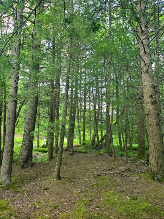 3128 Dryden Rd, Tompkins, NY 13856 - photo 34