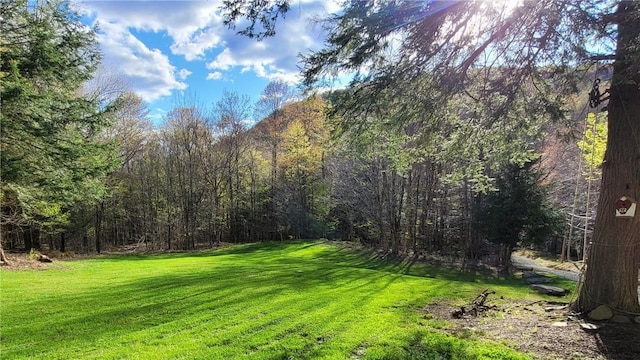 3128 Dryden Rd, Tompkins, NY 13856 - photo 4