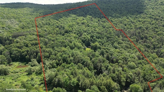 3128 Dryden Rd, Tompkins, NY 13856 - photo 6