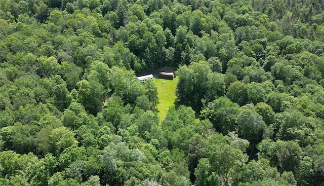 3128 Dryden Rd, Tompkins, NY 13856 - photo 7