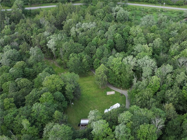 3128 Dryden Rd, Tompkins, NY 13856 - photo 8