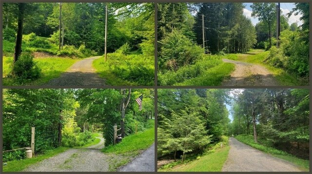 3128 Dryden Rd, Tompkins, NY 13856 - photo 10