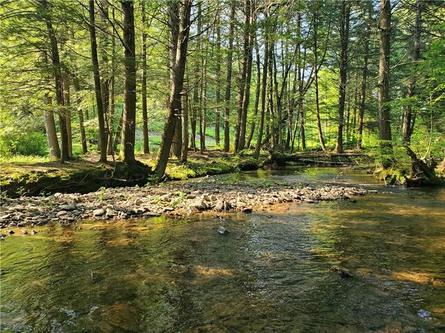 3128 Dryden Rd, Tompkins, NY 13856 - photo 11