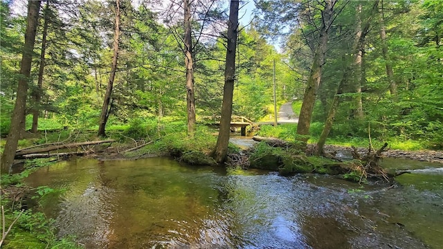 3128 Dryden Rd, Tompkins, NY 13856 - photo 12