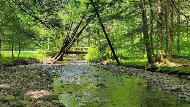 3128 Dryden Rd, Tompkins, NY 13856 - photo 13