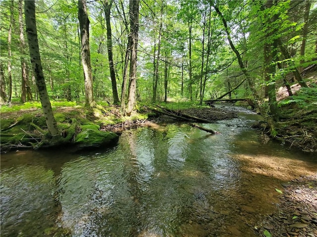 3128 Dryden Rd, Tompkins, NY 13856 - photo 14