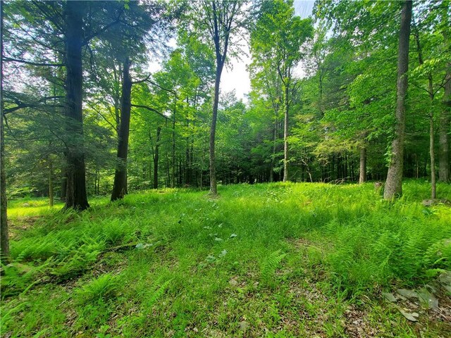 3128 Dryden Rd, Tompkins, NY 13856 - photo 35