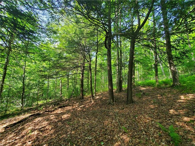 3128 Dryden Rd, Tompkins, NY 13856 - photo 38