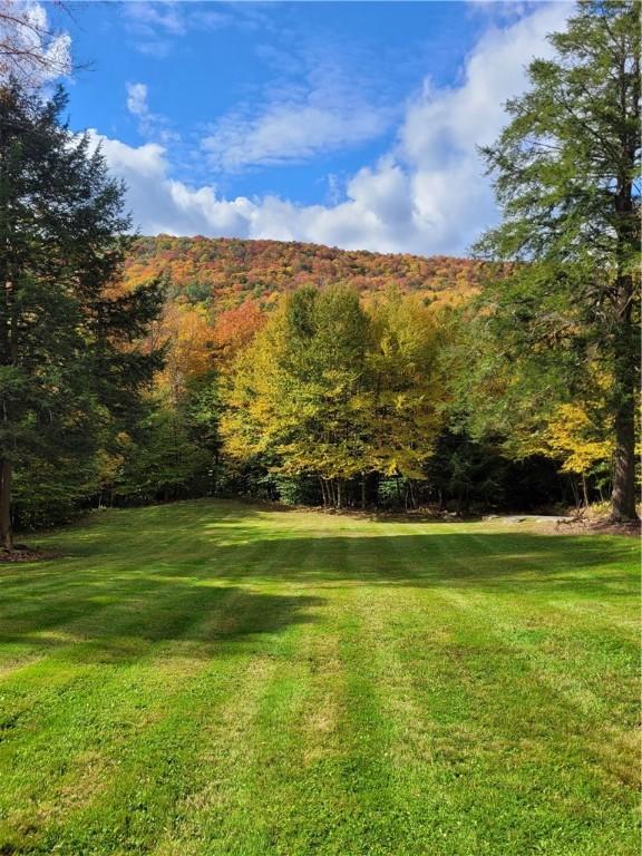 3128 Dryden Rd, Tompkins, NY 13856 - photo 45