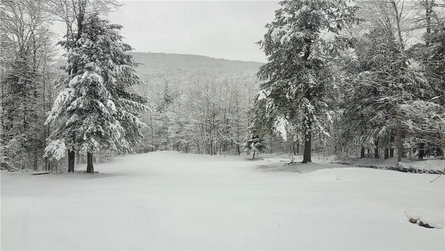3128 Dryden Rd, Tompkins, NY 13856 - photo 47