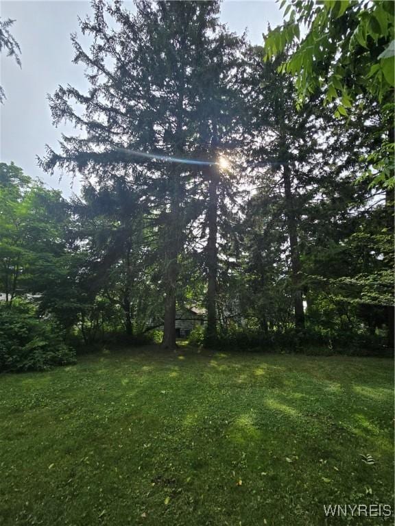 720 Main St, Porter, NY 14174 - view of green lawn