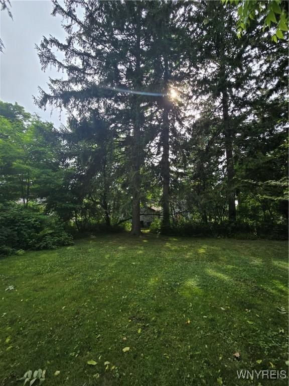 720 Main St, Porter, NY 14174 - view of grassy yard