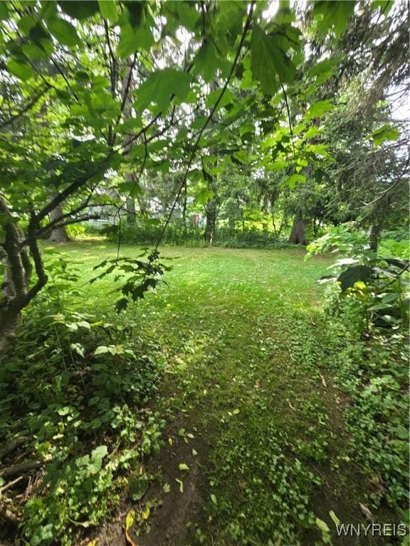 720 Main St, Porter, NY 14174 - view of yard