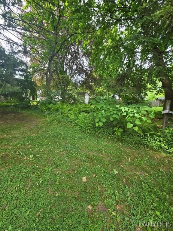 720 Main St, Porter, NY 14174 - view of yard