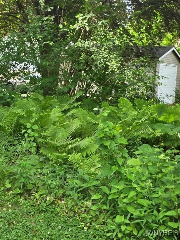 720 Main St, Porter, NY 14174 - view of undeveloped land