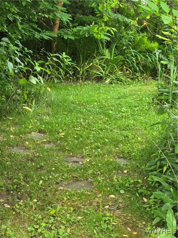 720 Main St, Porter, NY 14174 - view of local wilderness
