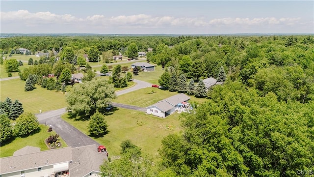 20040 Morin Ln S, Hounsfield, NY 13685 - drone / aerial view of a forest