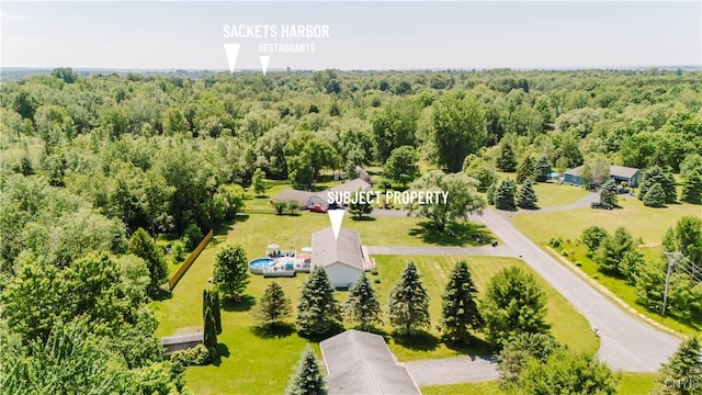 20040 Morin Ln S, Hounsfield, NY 13685 - aerial view of property and surrounding area with a heavily wooded area