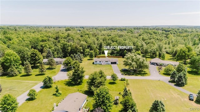 20040 Morin Ln S, Hounsfield, NY 13685 - bird's eye view of a heavily wooded area