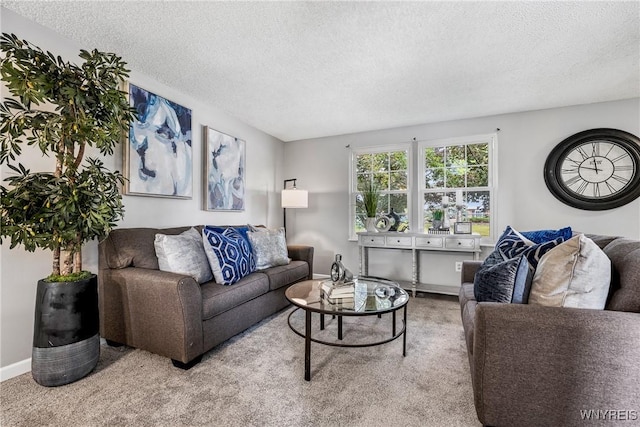182 Fawn, West Seneca, NY 14224 - living room with a textured ceiling and carpet flooring