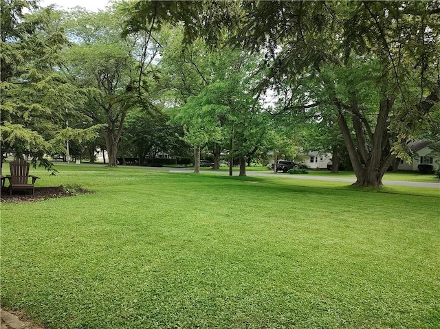 125 Cayuga St, Seneca Falls, NY 13148 - photo 44