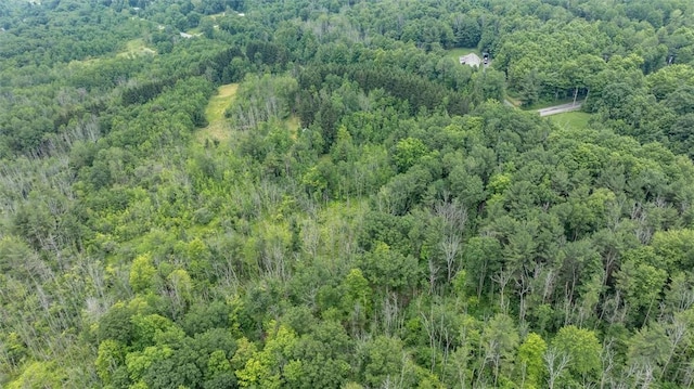 6833 County Route 7, Prattsburgh, NY 14873 - photo 19