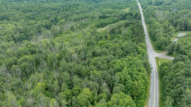 6833 County Route 7, Prattsburgh, NY 14873 - photo 20