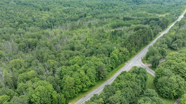 6833 County Route 7, Prattsburgh, NY 14873 - photo 21