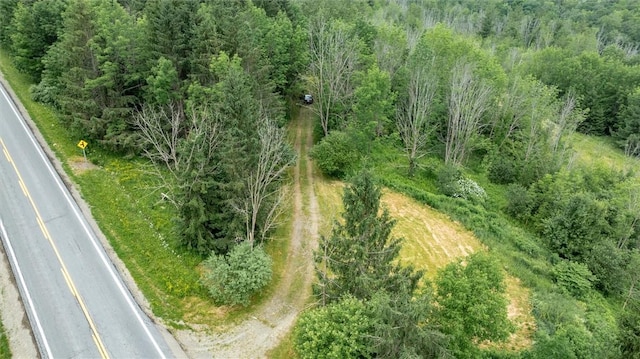 6833 County Route 7, Prattsburgh, NY 14873 - photo 22