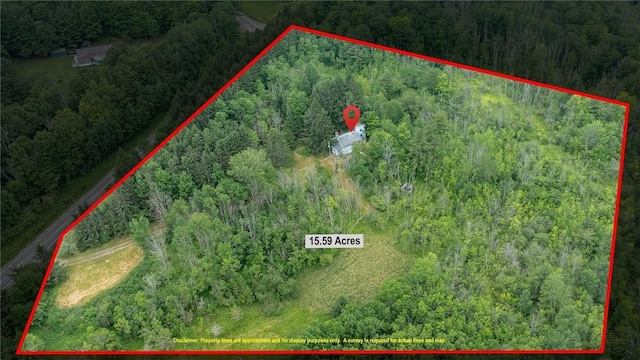 6833 County Route 7, Prattsburgh, NY 14873 - photo 23