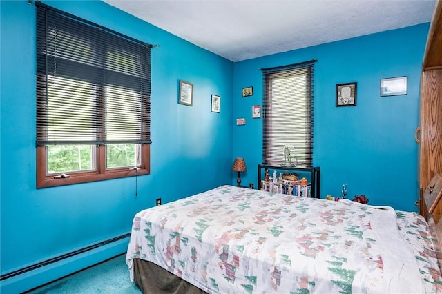 6833 County Route 7, Prattsburgh, NY 14873 - photo 36