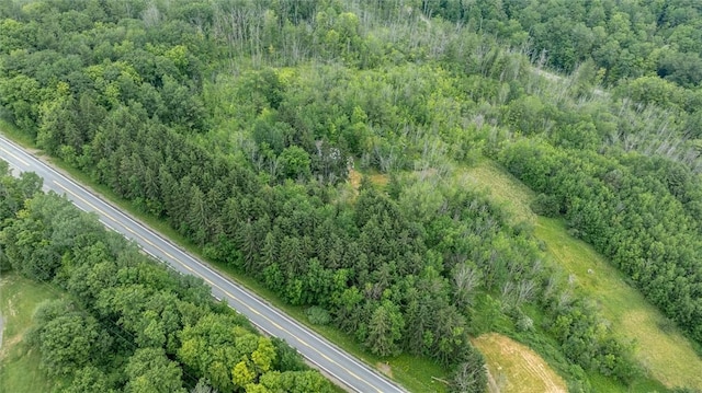 6833 County Route 7, Prattsburgh, NY 14873 - photo 13