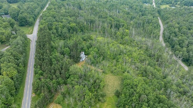 6833 County Route 7, Prattsburgh, NY 14873 - photo 14