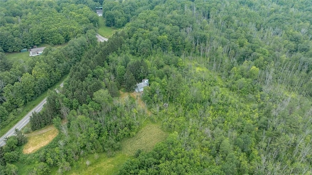 6833 County Route 7, Prattsburgh, NY 14873 - photo 15