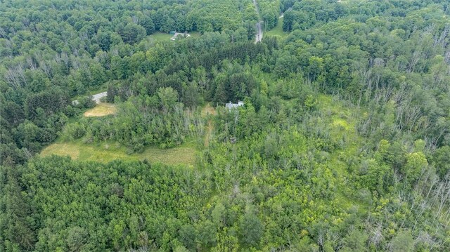 6833 County Route 7, Prattsburgh, NY 14873 - photo 16