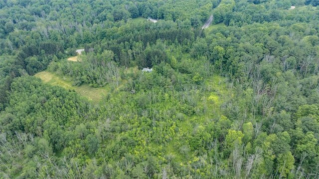 6833 County Route 7, Prattsburgh, NY 14873 - photo 17