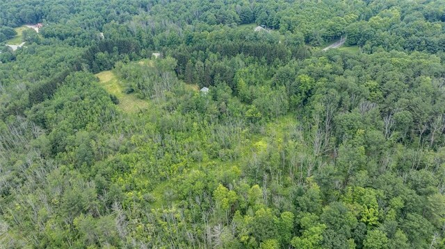 6833 County Route 7, Prattsburgh, NY 14873 - photo 18