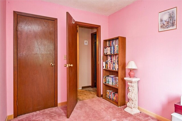 6833 County Route 7, Prattsburgh, NY 14873 - photo 39