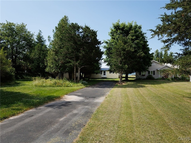 5366 Clark Point Rd, Henderson, NY 13651 - obstructed view of property featuring asphalt driveway and a front lawn