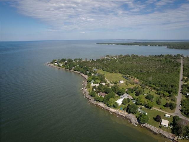 5366 Clark Point Rd, Henderson, NY 13651 - aerial view of property's location featuring a large body of water