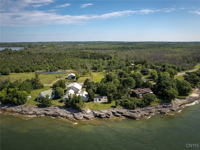 5366 Clark Point Rd, Henderson, NY 13651 - aerial view of property and surrounding area featuring a forest