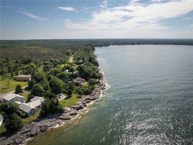 5366 Clark Point Rd, Henderson, NY 13651 - aerial view of a nearby body of water