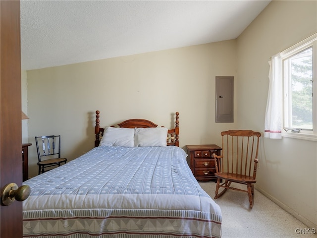 5366 Clark Point Rd, Henderson, NY 13651 - bedroom with electric panel and carpet
