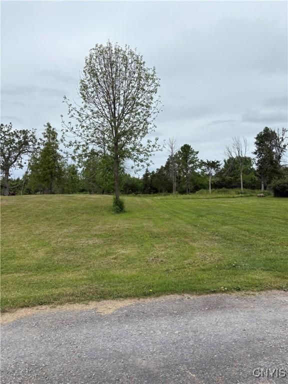 5366 Clark Point Rd, Henderson, NY 13651 - view of green lawn