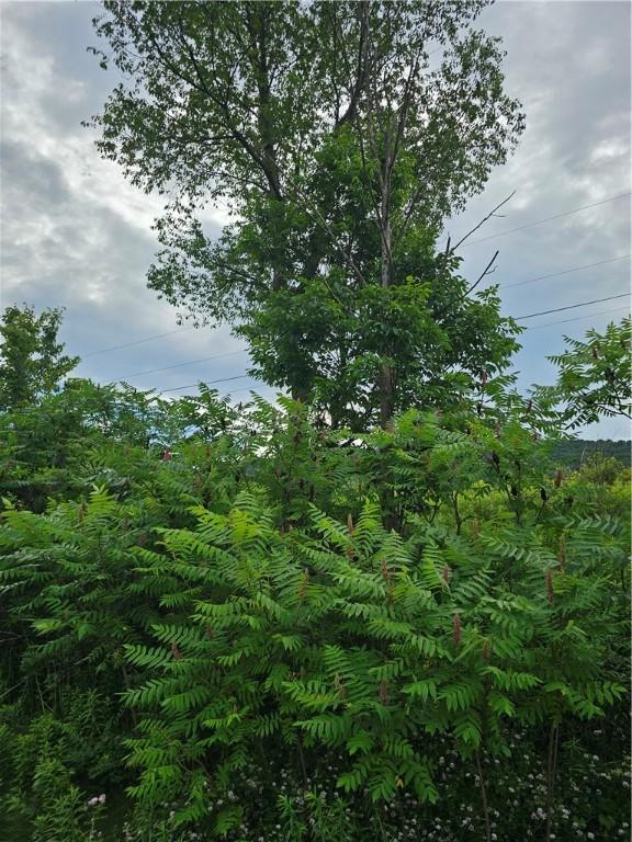 9150 State Route 54, Urbana, NY 14840 - photo 3